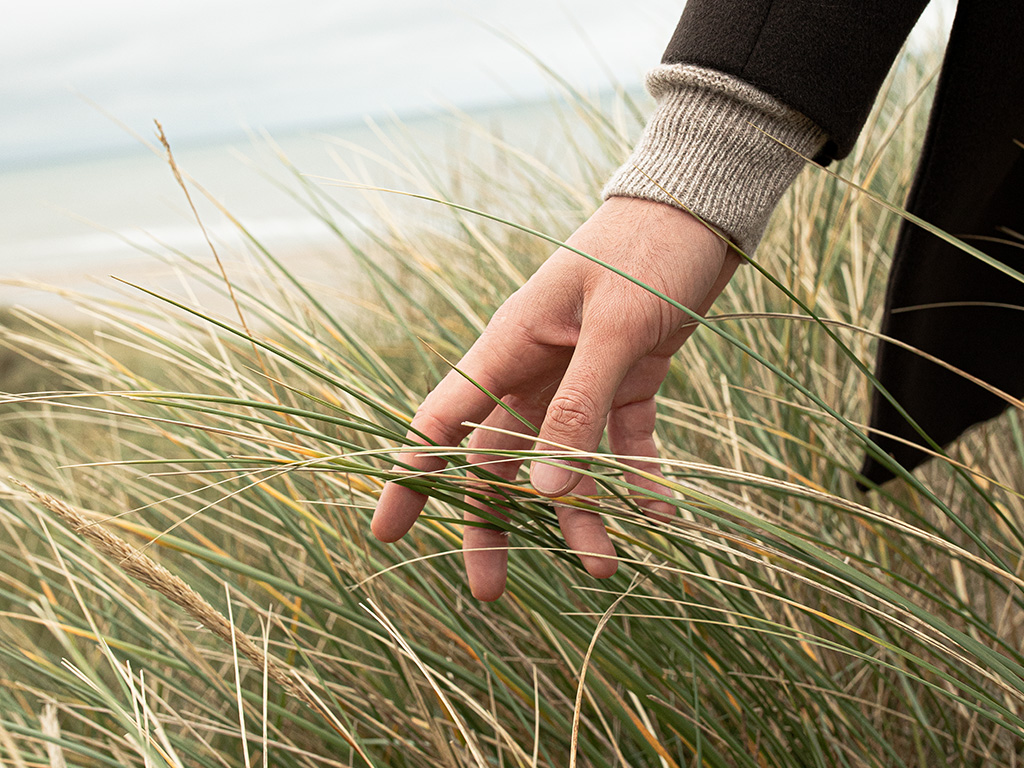 Hand berührt Grashalme in einer Dünenlandschaft Nahaufnahme einer Hand, die sanft durch Gras in einer dünenartigen Umgebung streicht