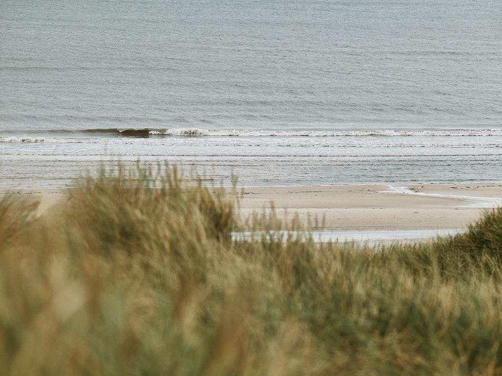 Küste mit Blick auf das Meer und Dünen im Vordergrund Strand und Meer mit Gräsern im Vordergrund an einem bewölkten Tag